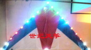 Luminous Kite,Big,Shining,Easy to fly,Llook like UFO