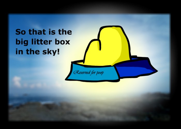 the big litterbox in the sky
