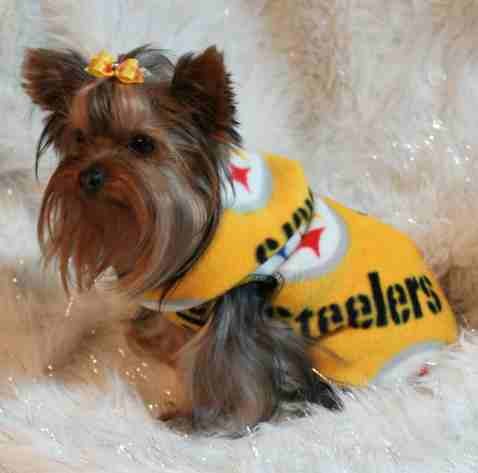 NFL Pittsburgh Steelers Football Dog Clothes Snuggly XS or SM (Med)