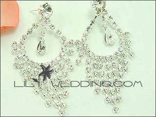 Decorated Hoops Rhinestone Earrings