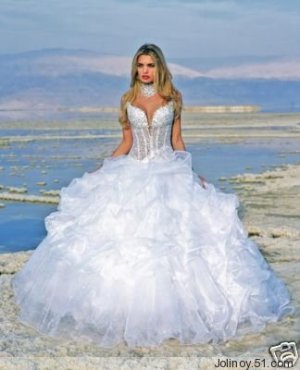 Wedding Dress Stores on Sexy Wedding Dress Bridesmaid Halter Bridal Gown Custom N00005