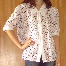 Polka Blouse