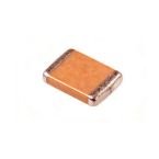 TANTALUM (RoHS)