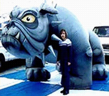 NEW! GIANT! PRO SPORTS BULLDOG MASCOT
