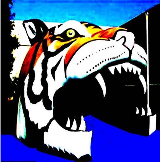 NEW! PRO SPORTS TIGER MASCOT SPORTS ENTRY TUNNEL INFLATABLE