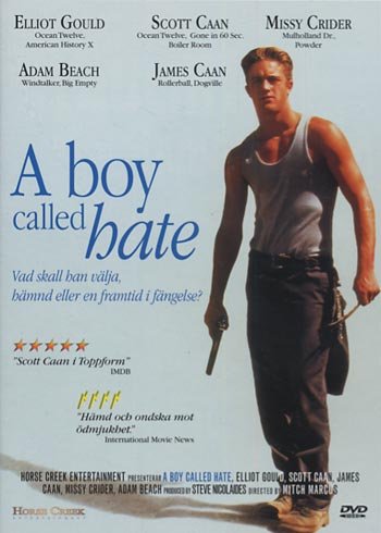 A boy called hate (1995, James Caan) NEW R2 DVD