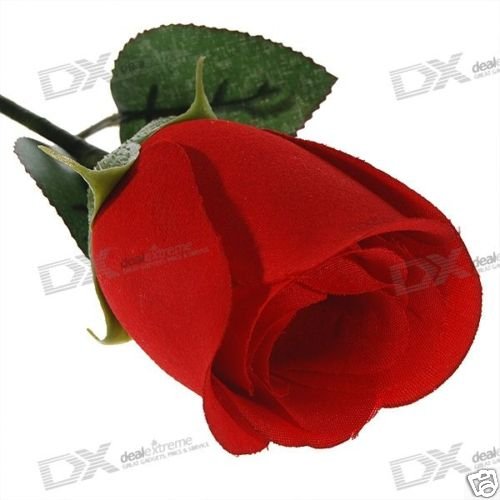 Realistic Rose Digital Voice Recorder