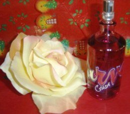 LIZ CLAIBORNE WOMEN'S CURVE CRUSH 3.4 OZ SPRAY PERFUME