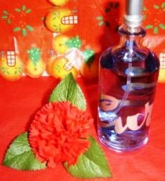 LIZ CLAIBORNE CURVE 3.4 OZ WOMEN'S SPRAY PERFUME
