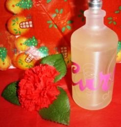 CURVE CHILL WOMEN'S 3.4 OZ SPRAY PERFUME