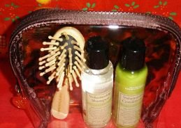 BATH & BODY WORKS EUCALYPTUS 3 PC SPEARMINT AROMATHERAPY HAIR KIT