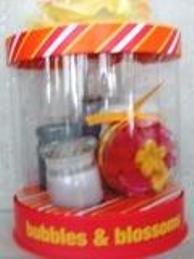 BATH & BODY WORKS MOONLIGHT PATH 5 PC BUBBLES & BLOSSOMS BATH SET