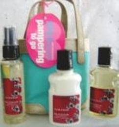 BATH & BODY WORKS MINI 3 PC 2 OZ JAPANESE CHERRY BLOSSOM TRAVEL BATH SET