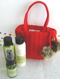 BATH & BODY WORKS EUCALYPTUS SPEARMINT 3 PC AROMATHERAPY TRAVEL SET