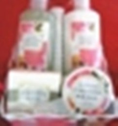 CARNATION 5 PC BATH SET IN FLOWER POT
