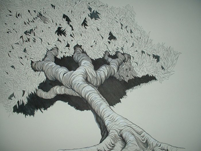 Drawing Entitled "Spinoza" by Rob Original