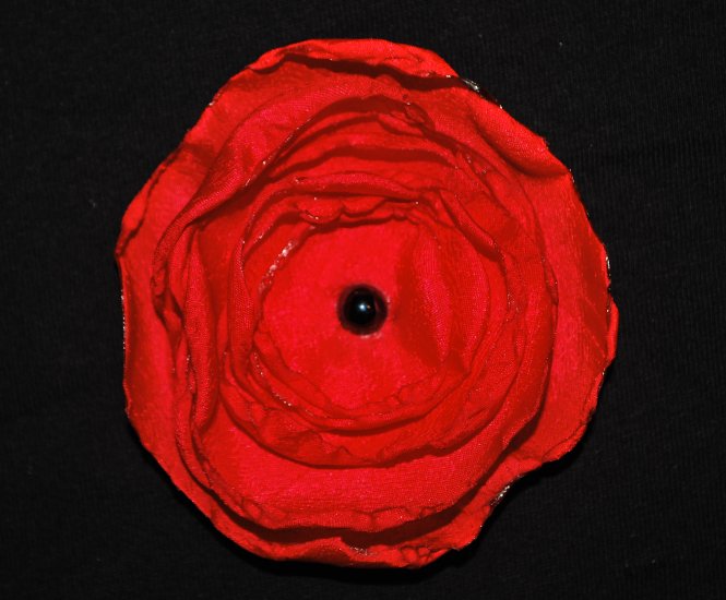 Red Singed Flower