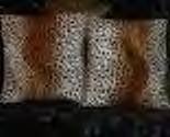 Two Cheetah Faux Fur Throw Pillow, Pillows, New!