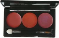 Lady In Red Lip Pallete