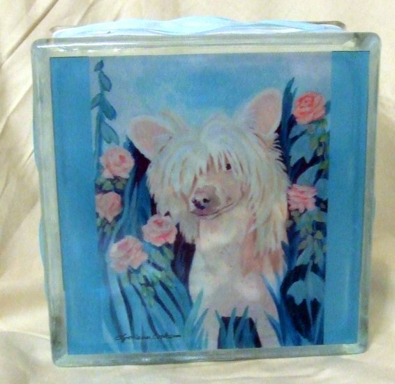 Chinese Crested 8x8 Glass Block Light