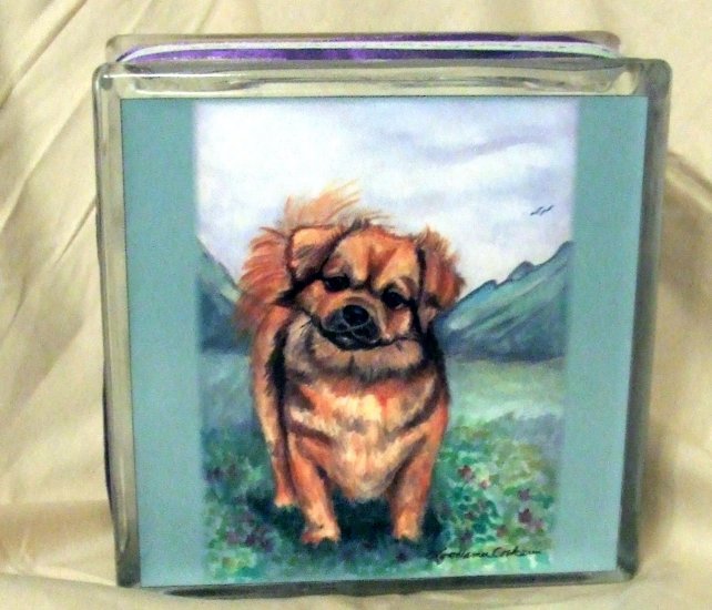 Tibetan Spaniel 8x8 Glass Block Light