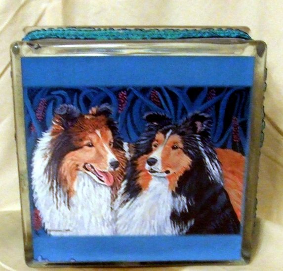 Shetland Sheepdog 8x8 Glass Block Light