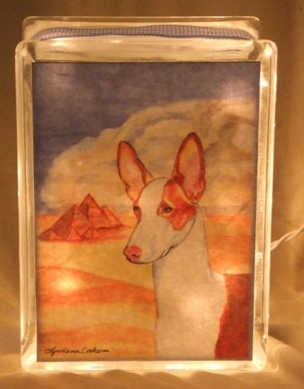 Ibizan Hound 8"x8" Glass Block Light