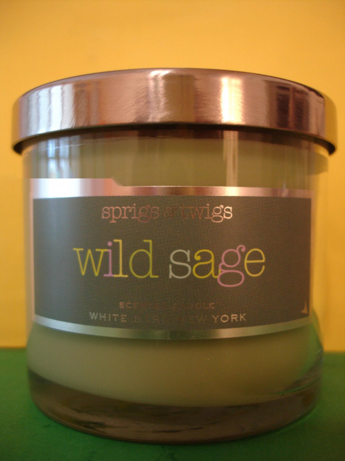 Bath & Body Works Wild Sage Candle 4 oz
