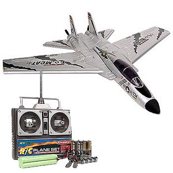 HX RADIO CONTROL F-14 TOMCAT SUPER FIGHTER AIRPLANE
