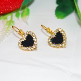 fashion earrings