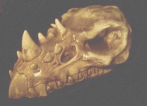GOTHIC MEDIEVAL HORNED DRAGON SKULL STATUE SKELETON BONE FANTASY