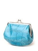 Vibrant Coin Purse