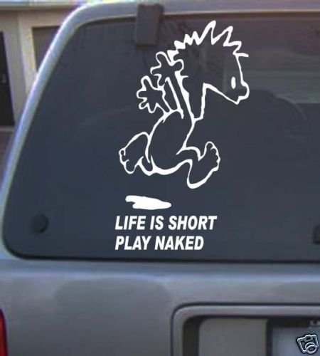 life is short Decal