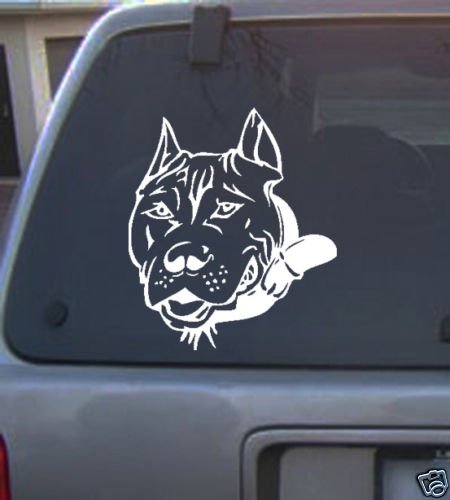 Decal Vinyl Graphic Pit 4 Colors to pick