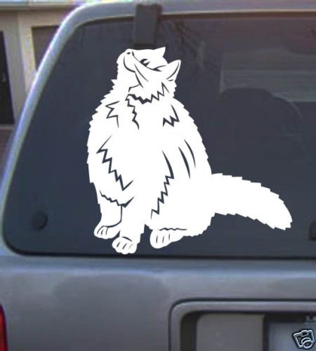 Vinyl Decal Cat08