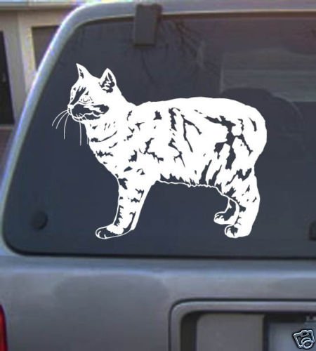 Vinyl Decal Cat_19_A