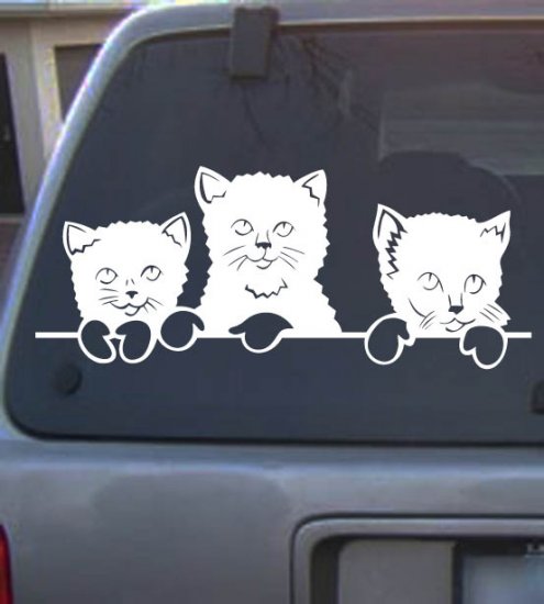 Vinyl Decal Cat25