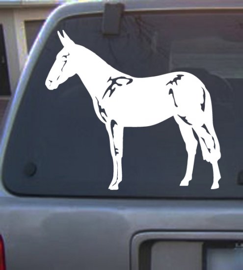 Decal Vinyl Horse 14_ l4 Colors to pick