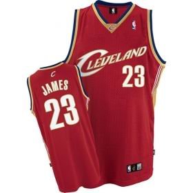 Authentic Lebron James NWT