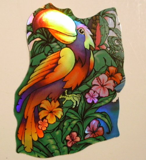 Colorful Parrot Sticker