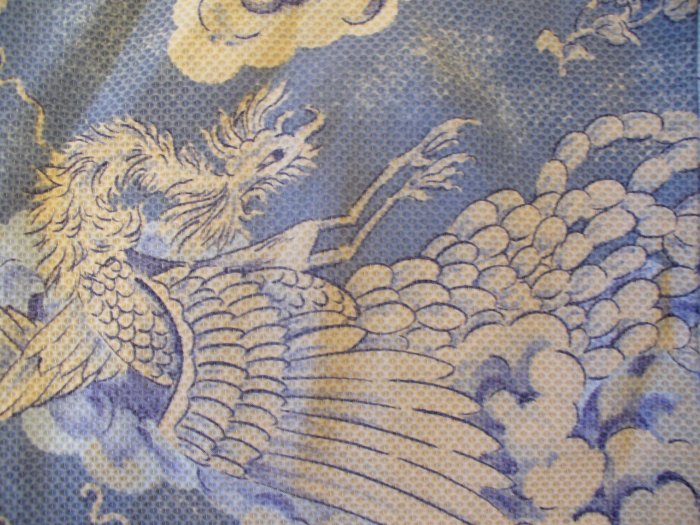 Dragon pants! (S)