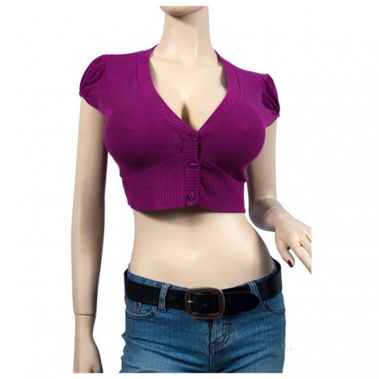 Purple Button Front V-Neck Plus Size Bolero Shrug 1X