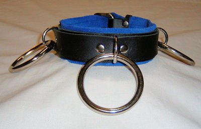 Blue Lined Triple O Ring Leather Collar - Roller Buckle