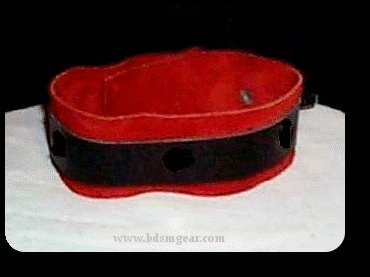 Deluxe Red Lined Ringless Collar