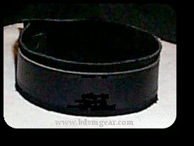Deluxe Black Suede Lined Ringless Collar