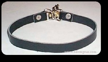 Thin Ringless Leather Collar