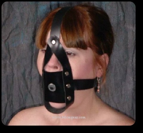 Training Post Gag with Harness