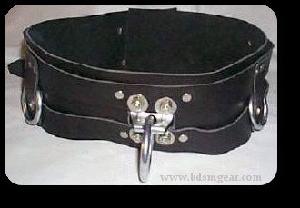 Double Buckle Suspension Belt