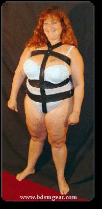 Suspension Harness