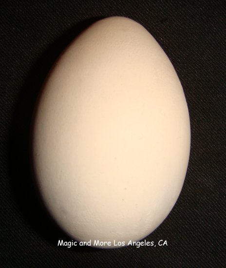 Wooden Egg for Any Egg Bag Routine or Magic Effect (1379)